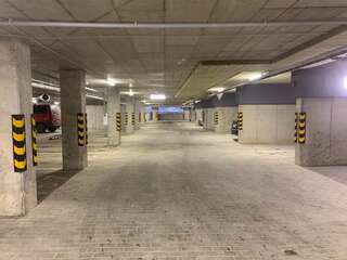 Апартаменты Near Ozas Studio Вильнюс-3