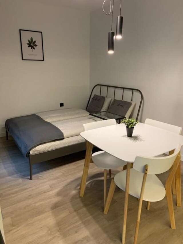 Апартаменты Near Ozas Studio Вильнюс-24